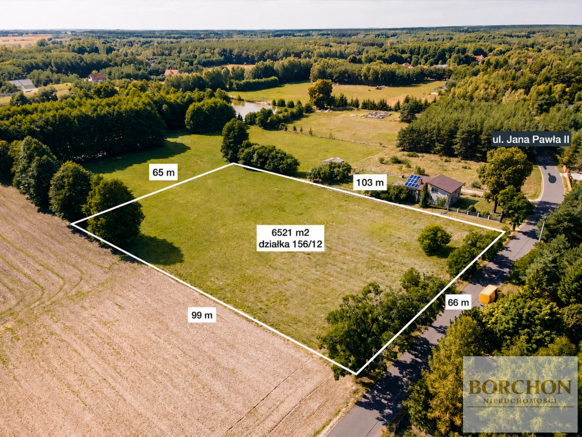 Działka na sprzedaż, 6521 m², Nekla Nekielka - Widok 2