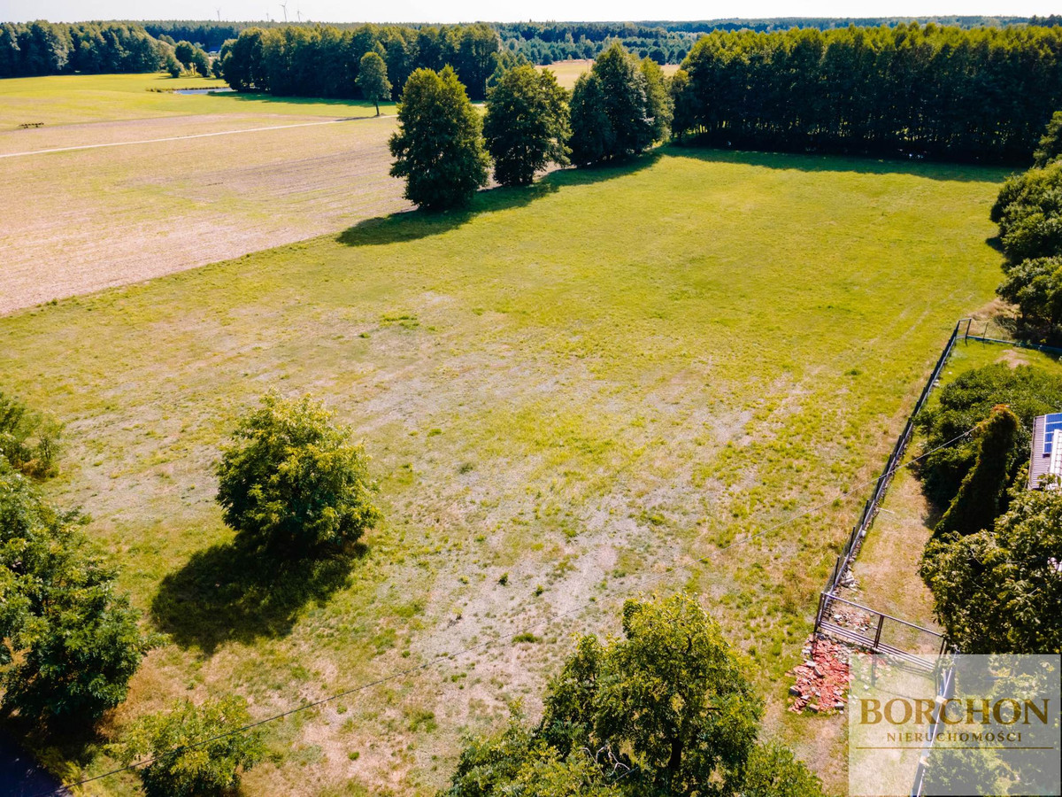Działka na sprzedaż, 6521 m², Nekla Nekielka - Widok 5