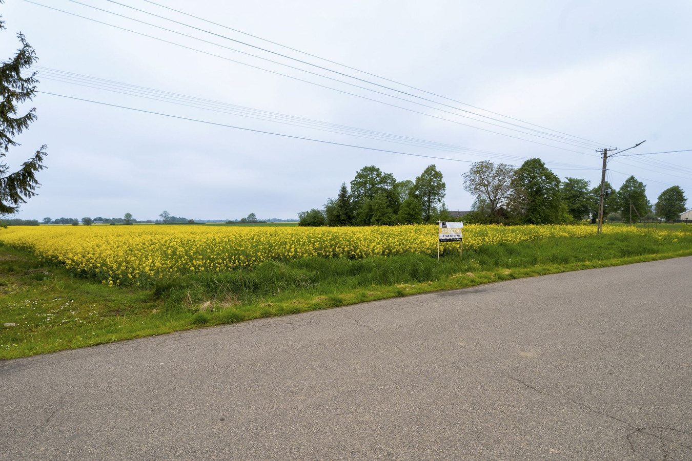 Działki Budowlane| MPZP |Kostków |13a – 25a |Bezpośrednio przy drodze - Widok 2