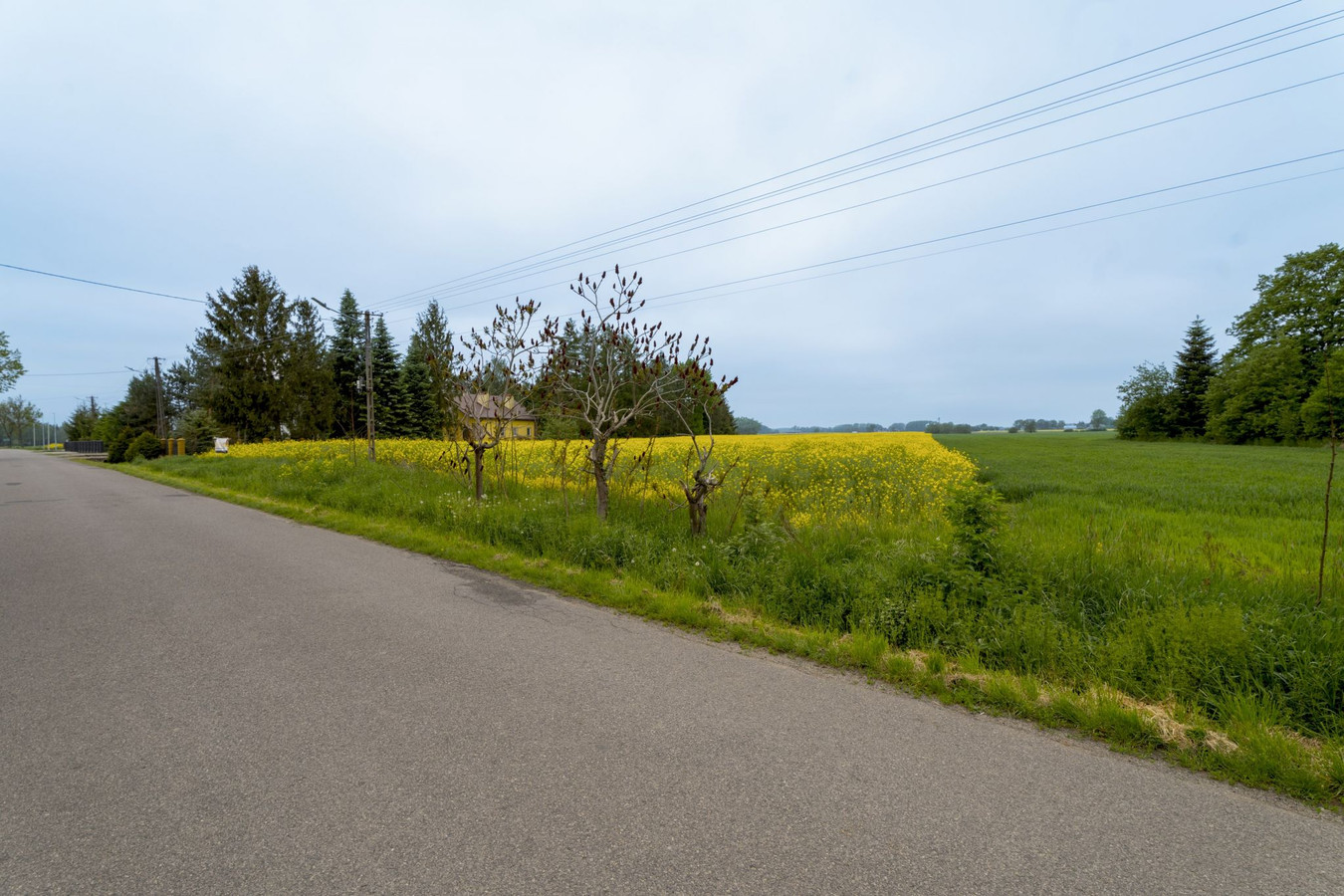 Działki Budowlane| MPZP |Kostków |13a – 25a |Bezpośrednio przy drodze - Widok 4