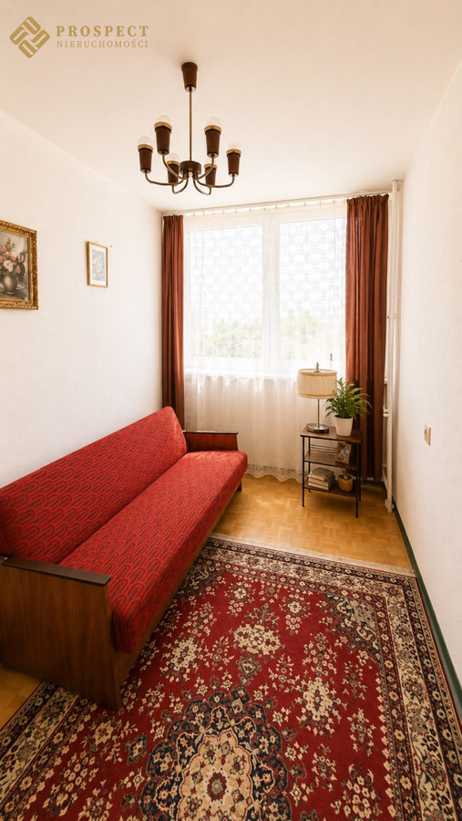 okolice Akademii Ekonomicznej - widok na zieleń - Widok 5