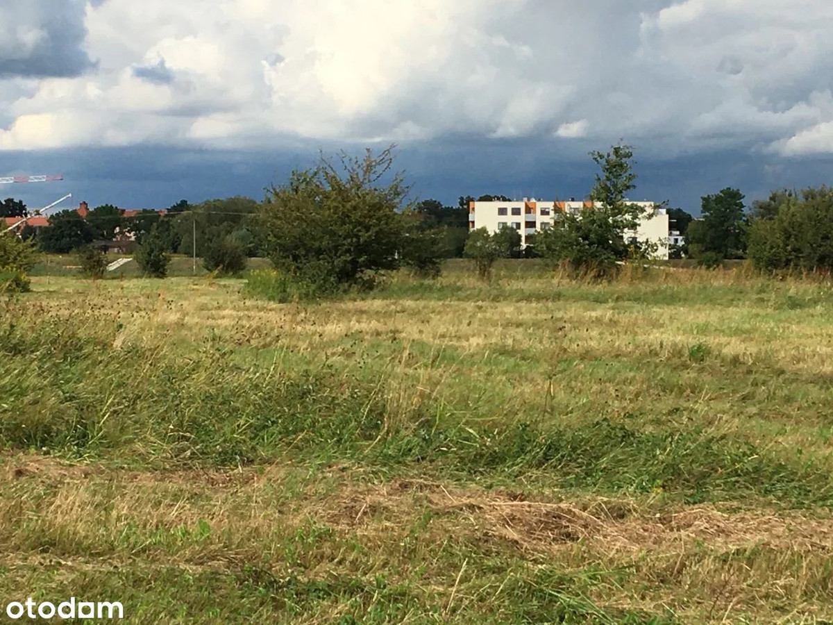 Działki rekreacyjne pow. 219 m², 226 m², 243 m², 254 m², 260 m², 271 m² - Widok 2