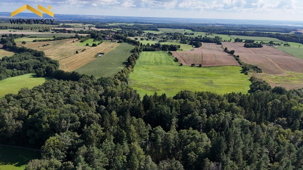 Wyjątkowy teren o powierzchni 71 696 m² - Widok 4