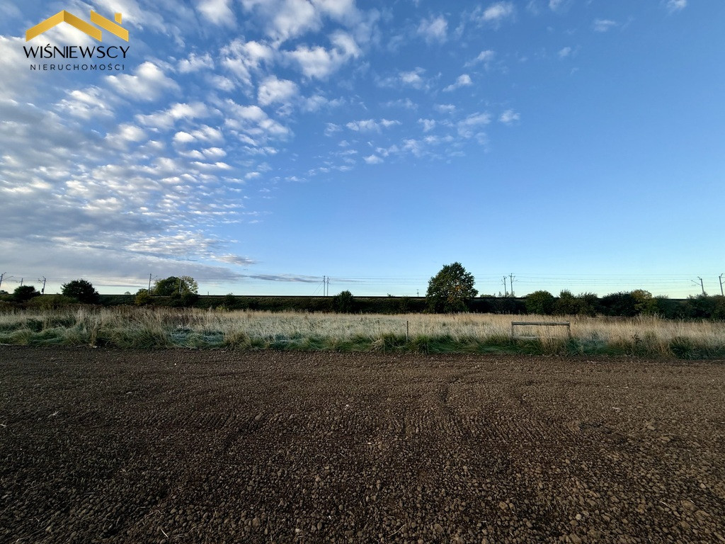 Działka 4202 m² w Kościeleczkach – blisko Malborka | 149 000 zł - Widok 5