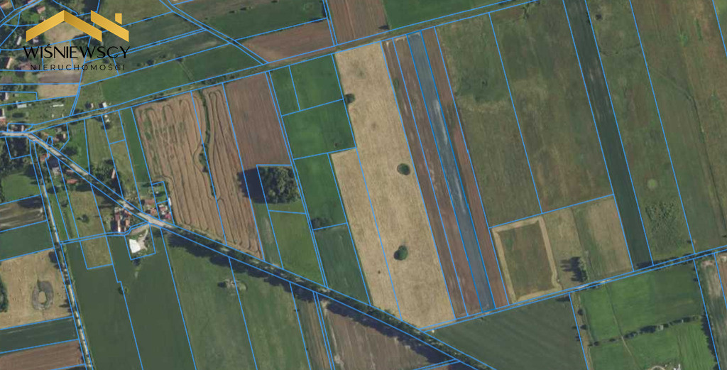 Grunty rolne 4,65 ha – Dobry, gm. Godkowo - Widok 4