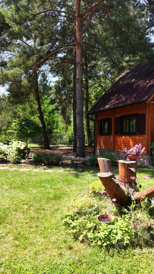 Łosie, działka budowlana z domkiem całorocznym, - Widok 6