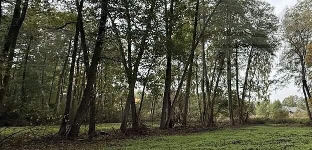 Sprzedam ładne działki w Adamów Parcel - Widok 3