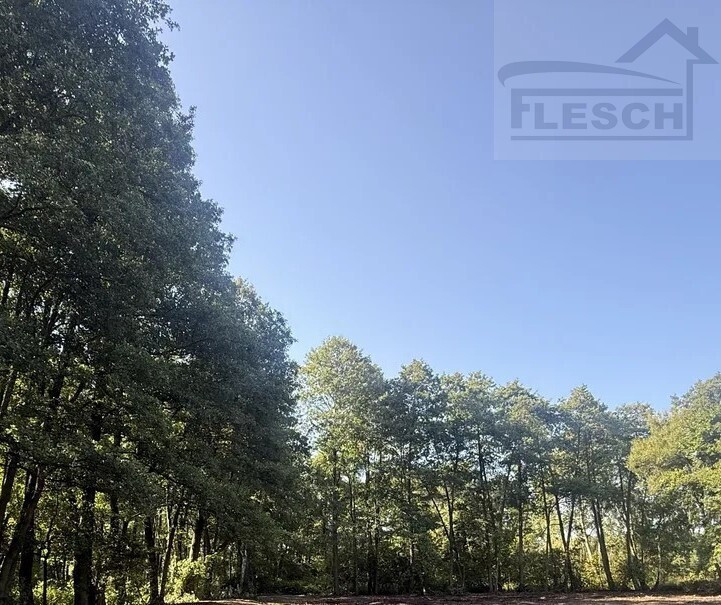 Sprzedam ładne działki w Adamów Parcel - Widok 2