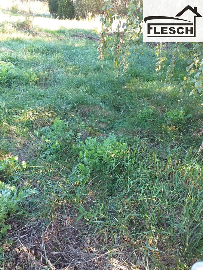 Doskonale zlokalizowana działka przemysłowa o powierzchni 1010 m² - Widok 3