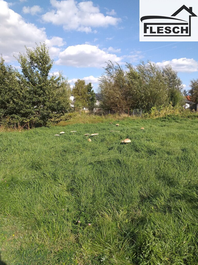 Wyjątkowa działka 1700 m² Żółwin - Widok 3