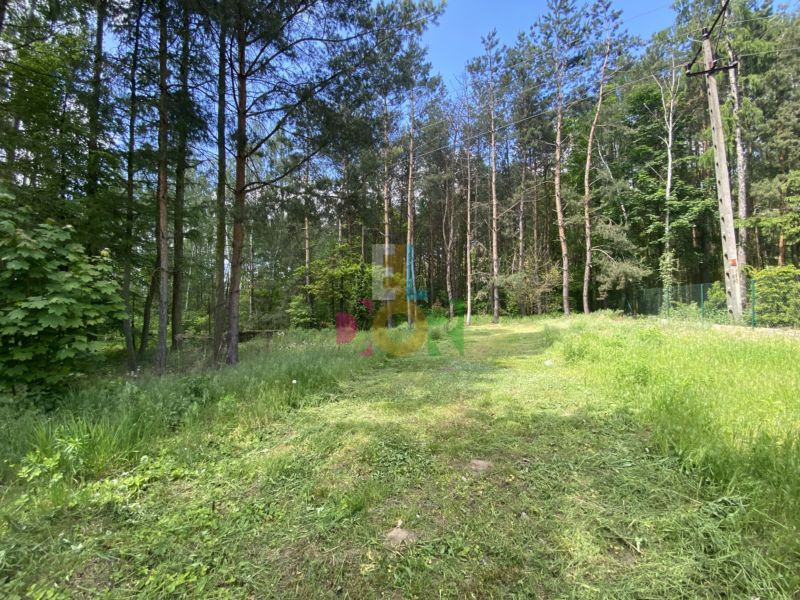 Duża działka budowlana, 15 km od Łodzi, Nowosolna - Widok 3