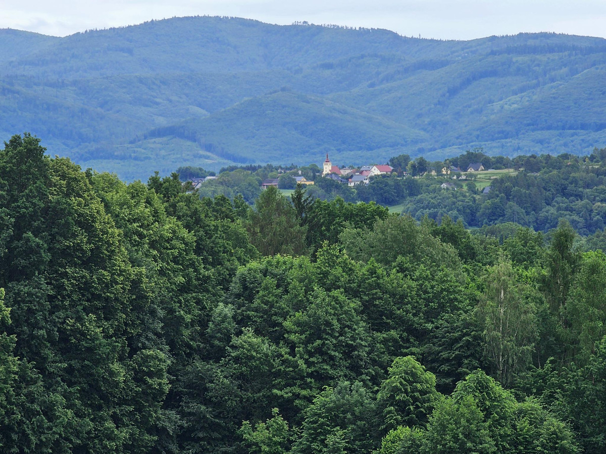 Zemljišče, 14593 m²