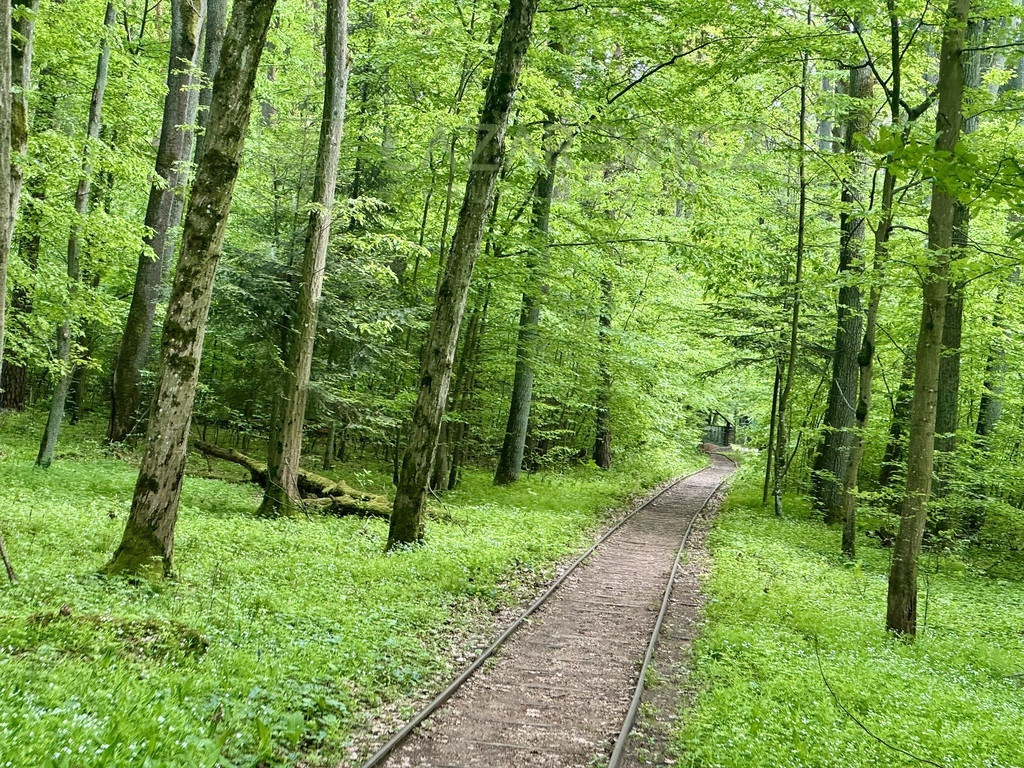 Działki w duchu Longevity | Osada Rudka Sanatoryjna Mrozy Mazowieckie - Widok 2