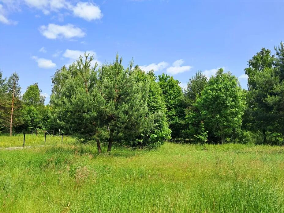 Idealna działka pod zabudowę mieszkaniową - Widok 5