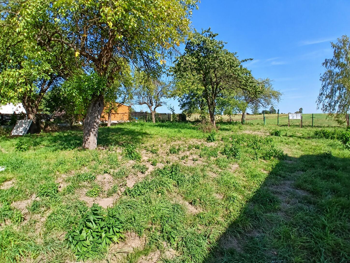 Jaskrów | duża działka budowlana | szerokość 19,5m - Widok 5