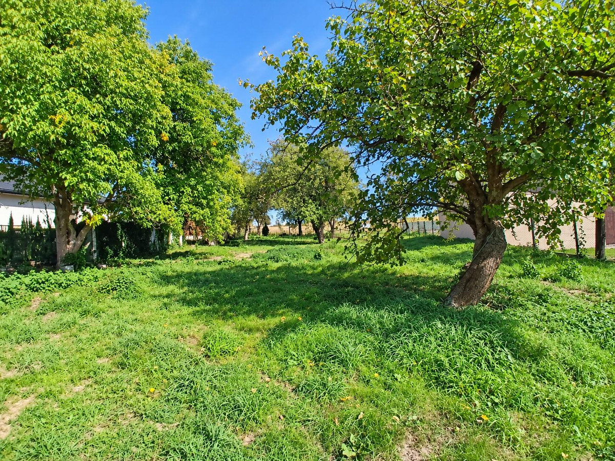 Jaskrów | duża działka budowlana | szerokość 19,5m - Więcej