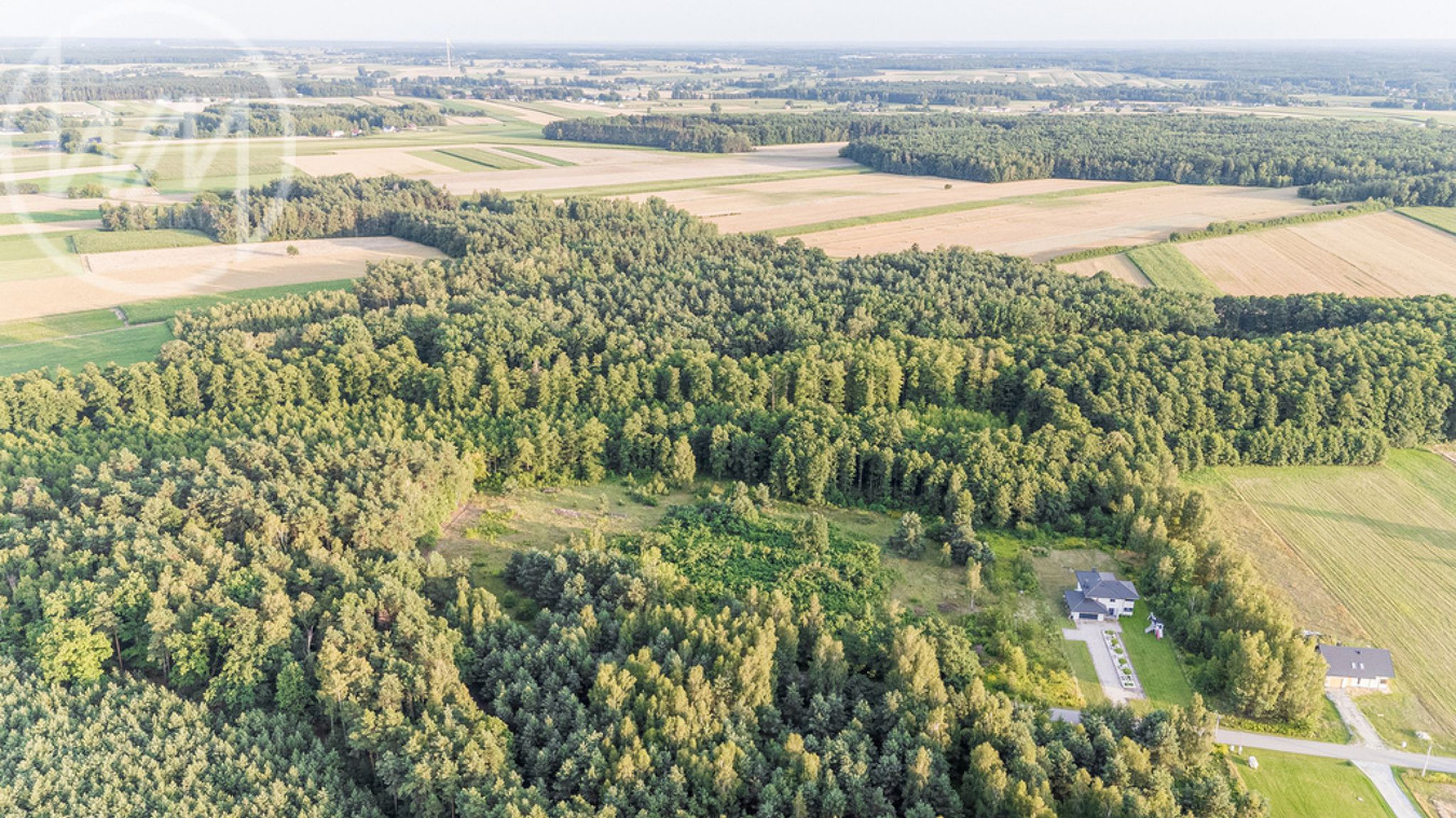 Na sprzedaż kompleks atrakcyjnych działek budowlanych – Kacprówek - Widok 5
