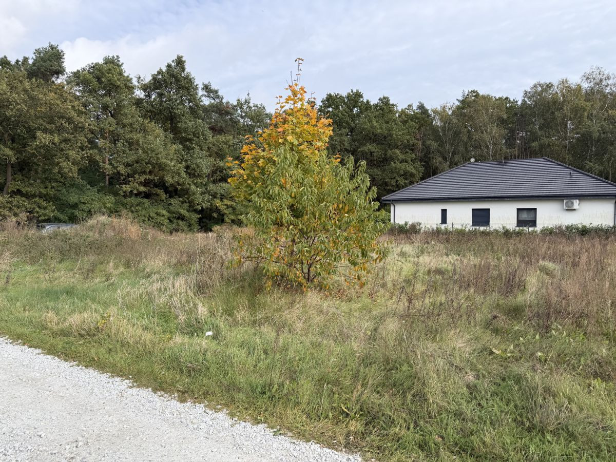 Działka budowlana 1056 m² | Jaszkowo | Przy lesie - Widok 5
