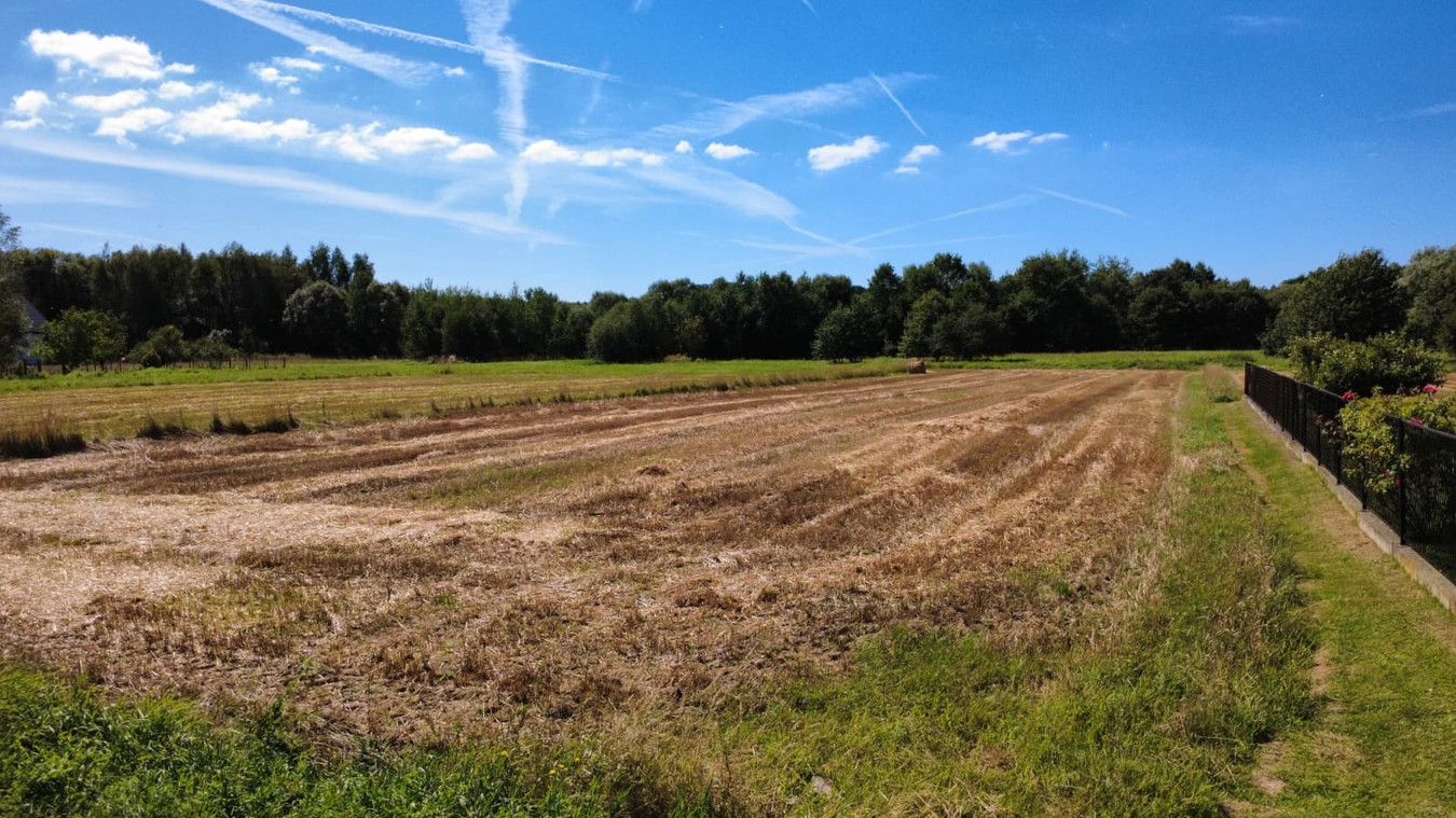 Działka 28,24 ar | zabudowa mieszkaniowa i usługi | Ryczów - Widok 3