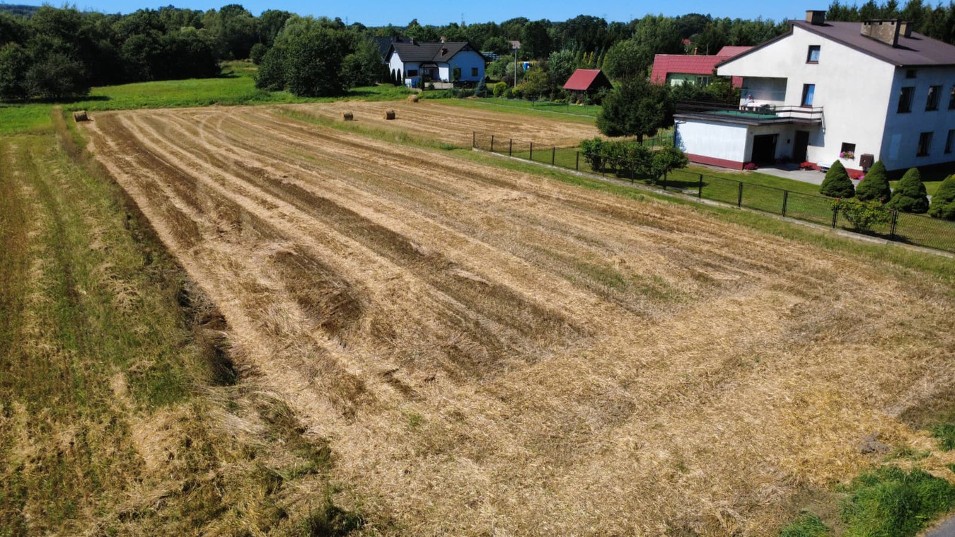 Działka 28,24 ar | zabudowa mieszkaniowa i usługi | Ryczów - Widok 4