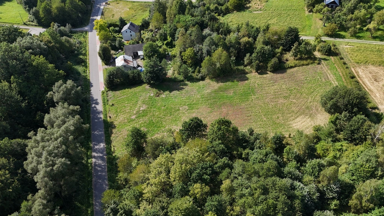 Wola Rafałowska, 53a, WZ, widokowa - Widok 4