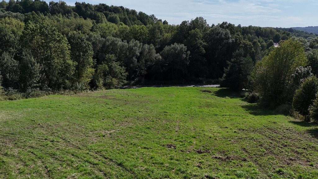 Wola Rafałowska, 53a, WZ, widokowa - Widok 5