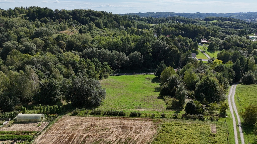 Wola Rafałowska, 53a, WZ, widokowa - Widok 6