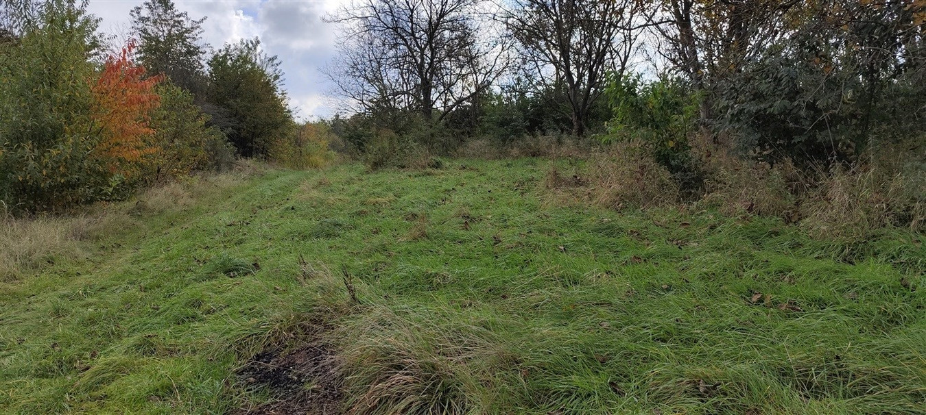 Łańcut działka budowlano-inwestycyjna 4189 m² z W - Widok 3