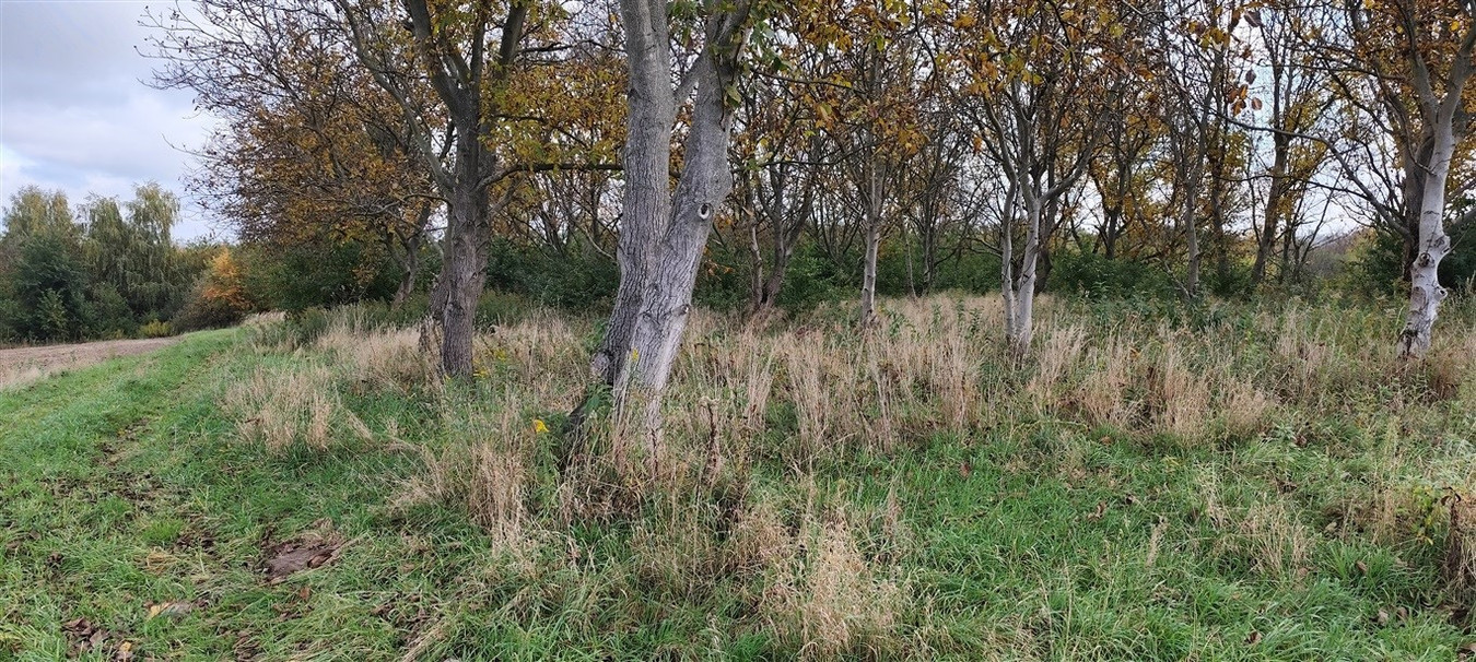 Łańcut działka budowlano-inwestycyjna 4189 m² z W - Widok 4