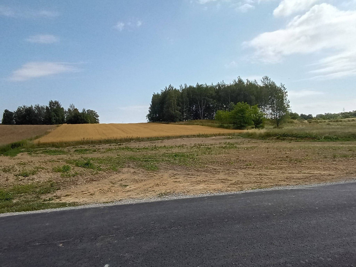 działka budowlana 22,40 ara Wz Rzeszów - Widok 4