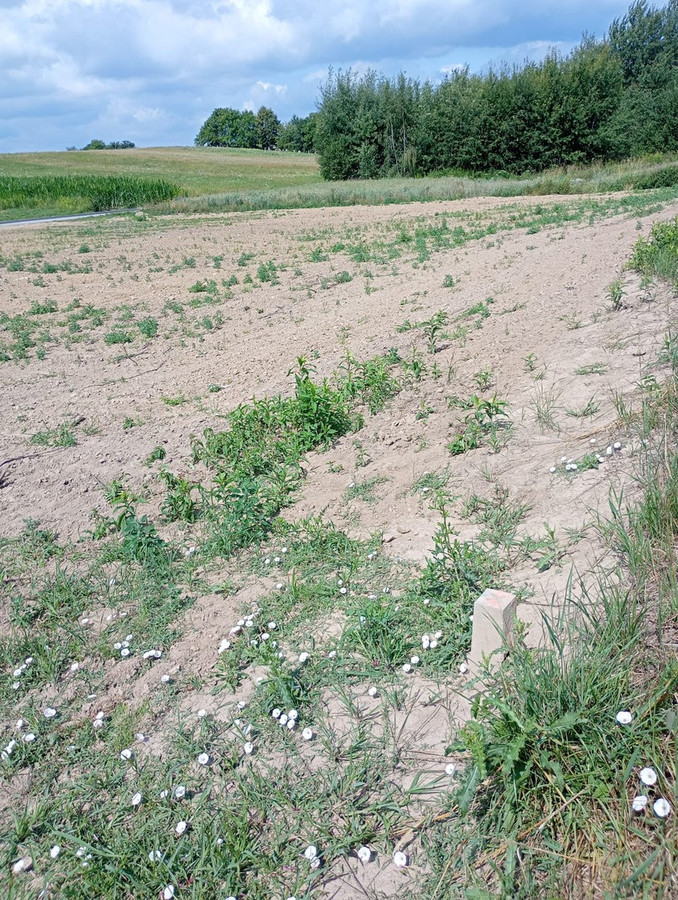 działka budowlana 22,40 ara Wz Rzeszów - Widok 5