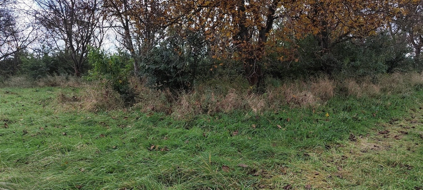 Łańcut działka budowlano-inwestycyjna 4189 m² z W - Widok 2