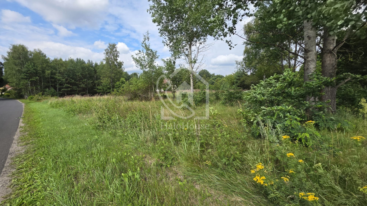Działka Budowlana| pow. 2751 m² | Łozy - Widok 4