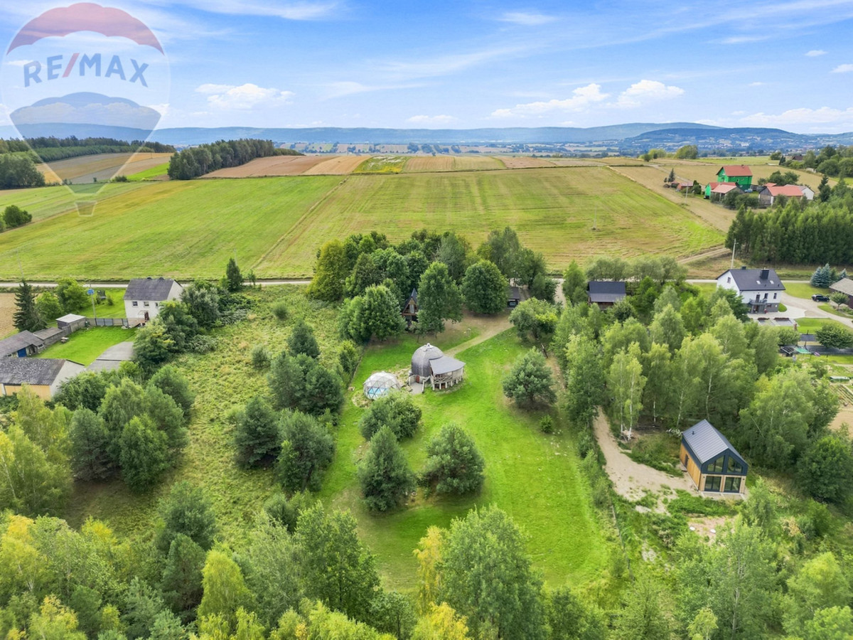Dom – Pawłów, Radkowice-Kolonia - Widok 4