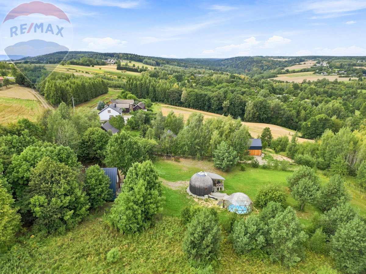 Dom – Pawłów, Radkowice-Kolonia - Widok 5