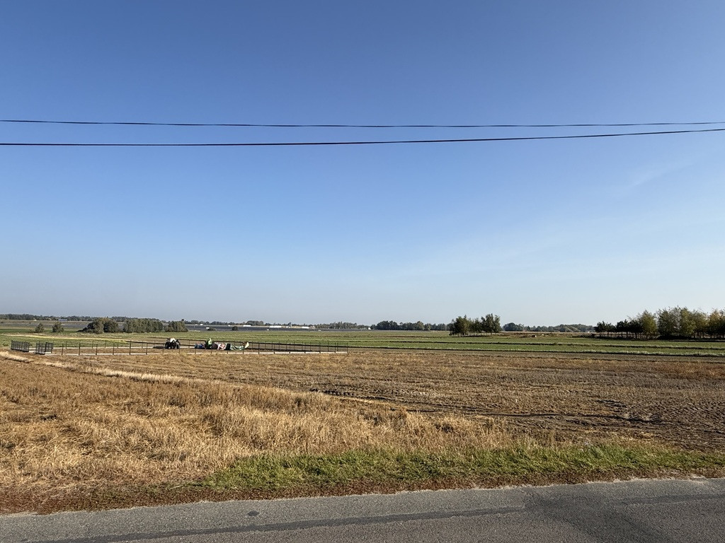 Działka budowlana 1501 m² | Zelgoszcz | Media - Widok 5