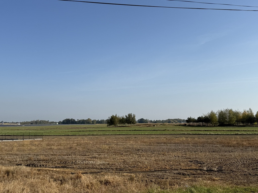 Działka budowlana 1501 m² | Zelgoszcz | Media - Widok 2