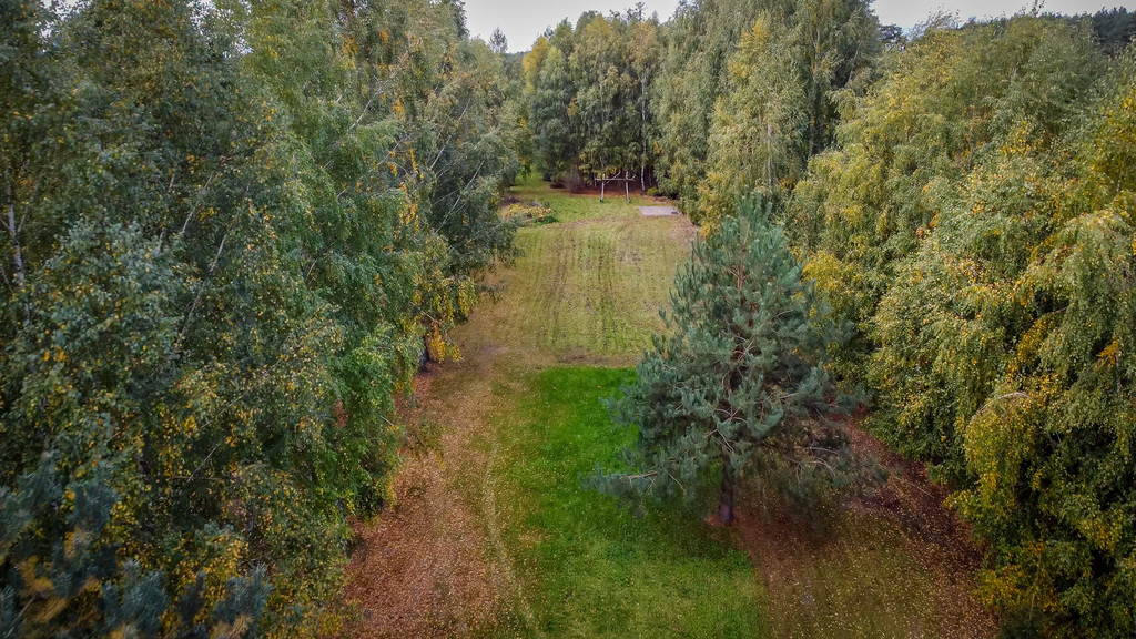 Działka 4565 m² | Zieleń i spokój - Widok 2
