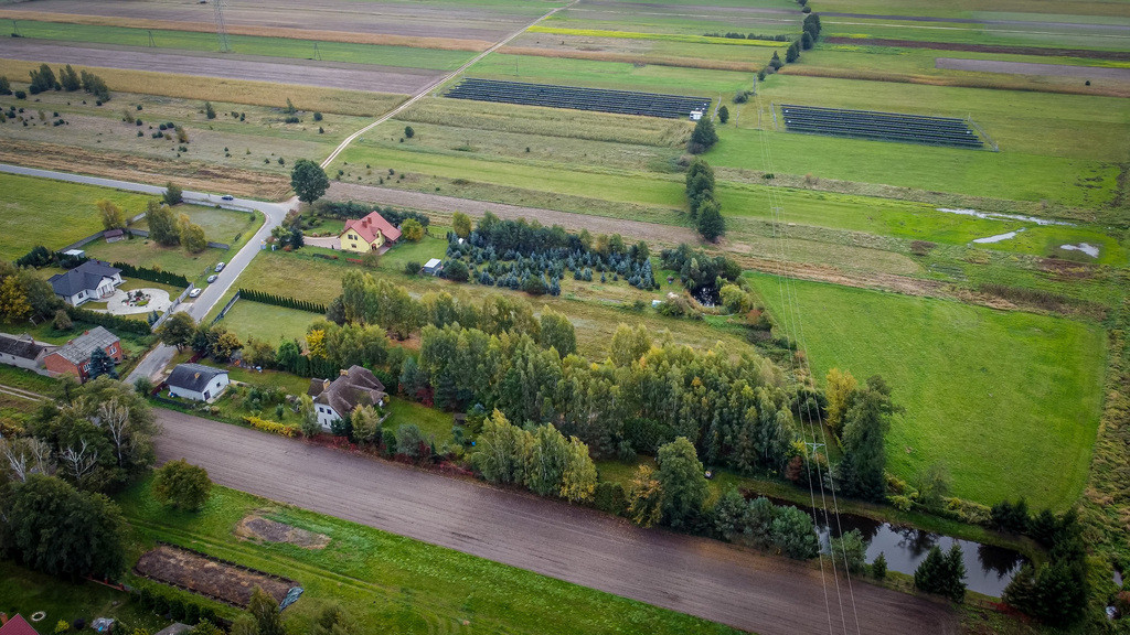 Działka 4565 m² | Zieleń i spokój - Widok 5