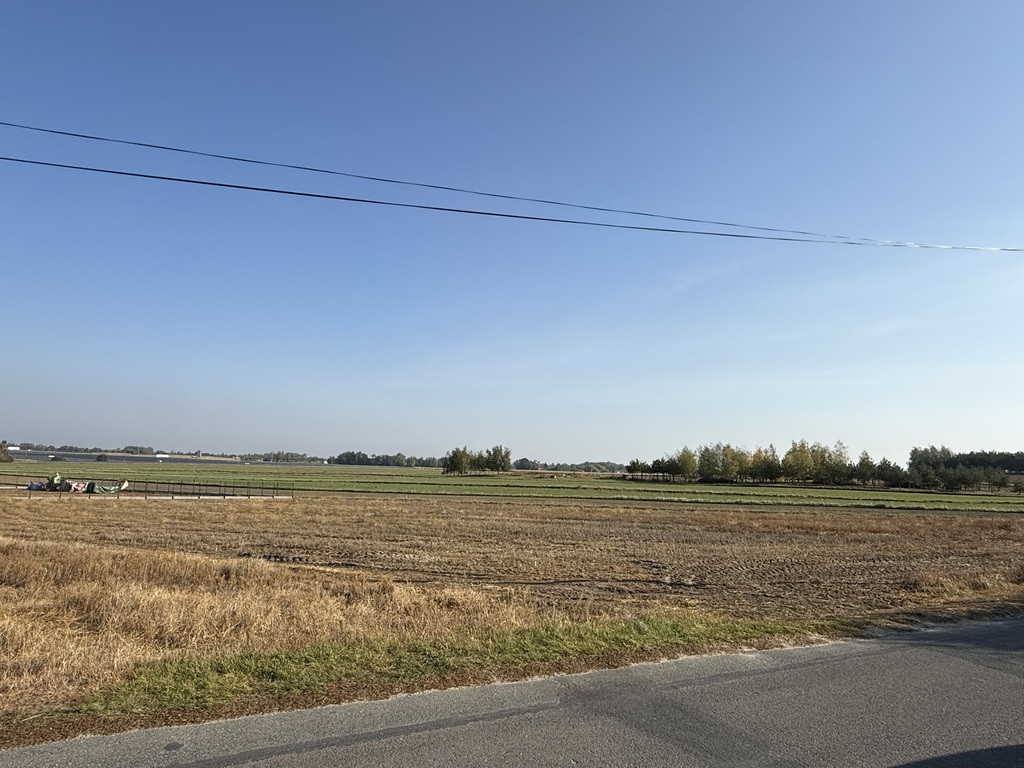 Działka budowlana 1501 m² | Zelgoszcz | Media - Widok 3