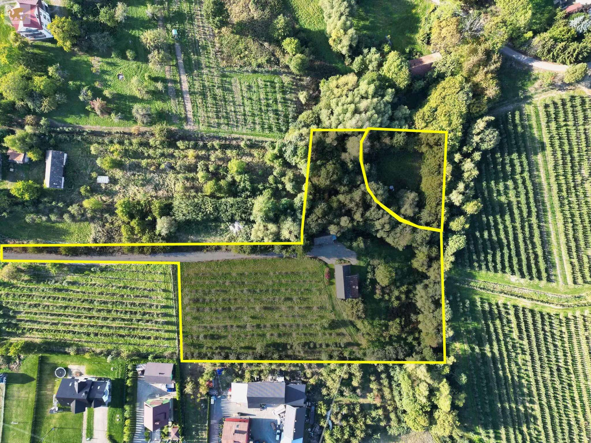 Duża działka z domem | Czarny Potok | 8700 m², sad i potok - Widok 3