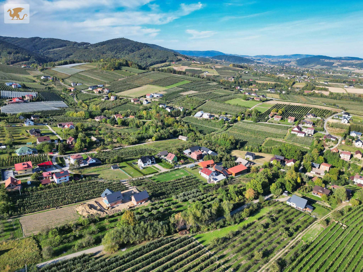 Duża działka z domem | Czarny Potok | 8700 m², sad i potok - Widok 4