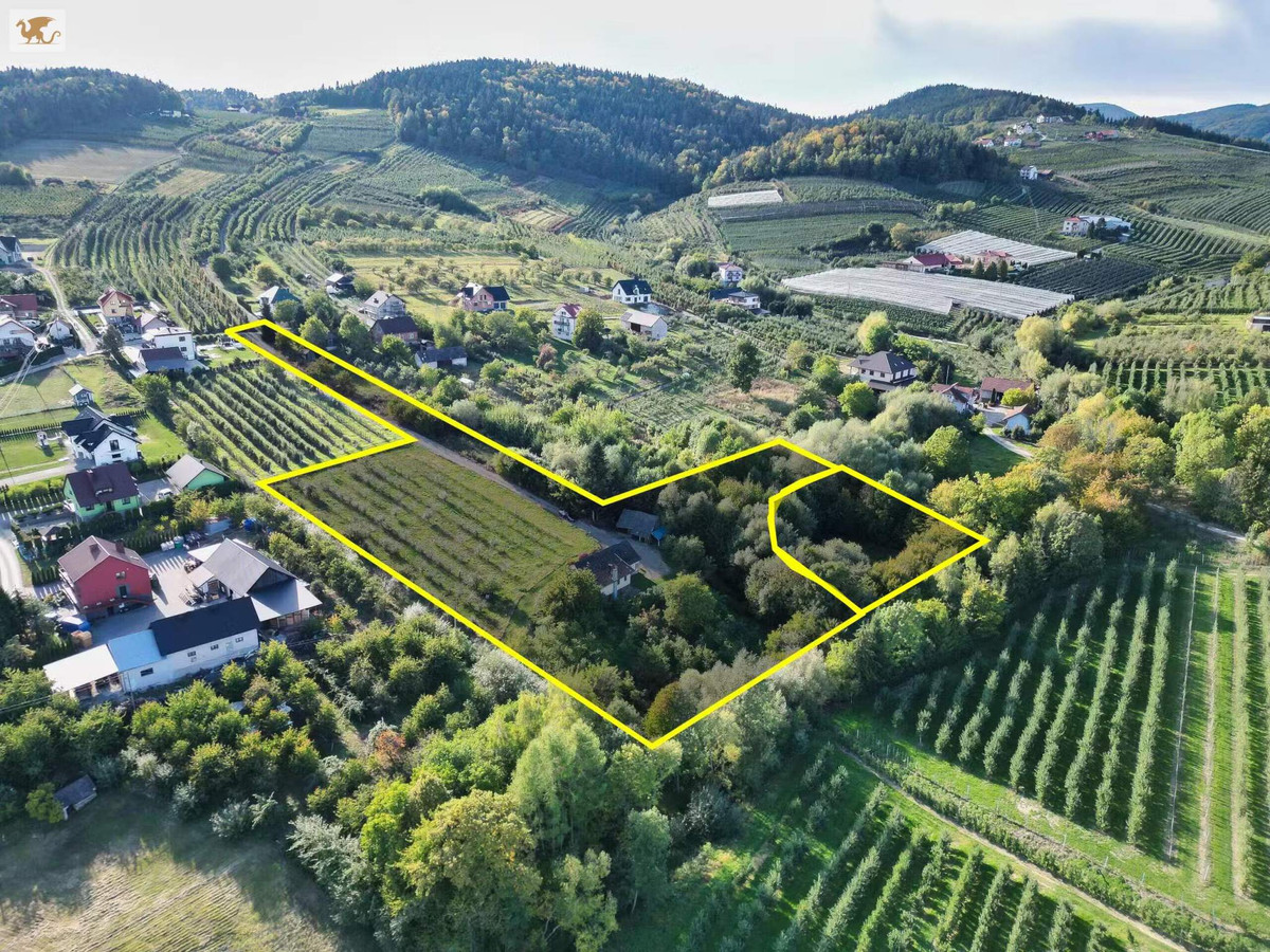 Duża działka z domem | Czarny Potok | 8700 m², sad i potok - Widok 5