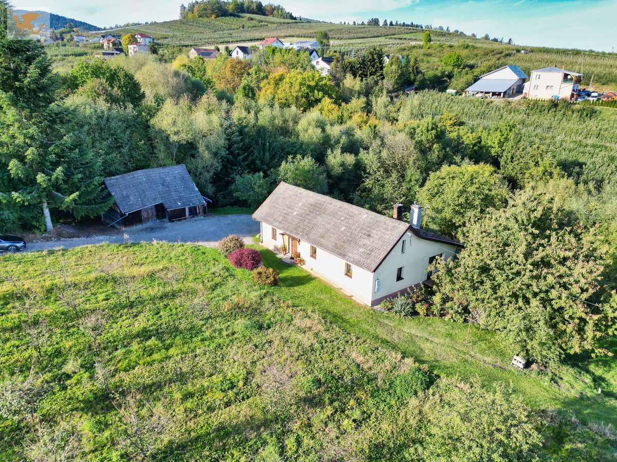 Duża działka z domem | Czarny Potok | 8700 m², sad i potok - Więcej