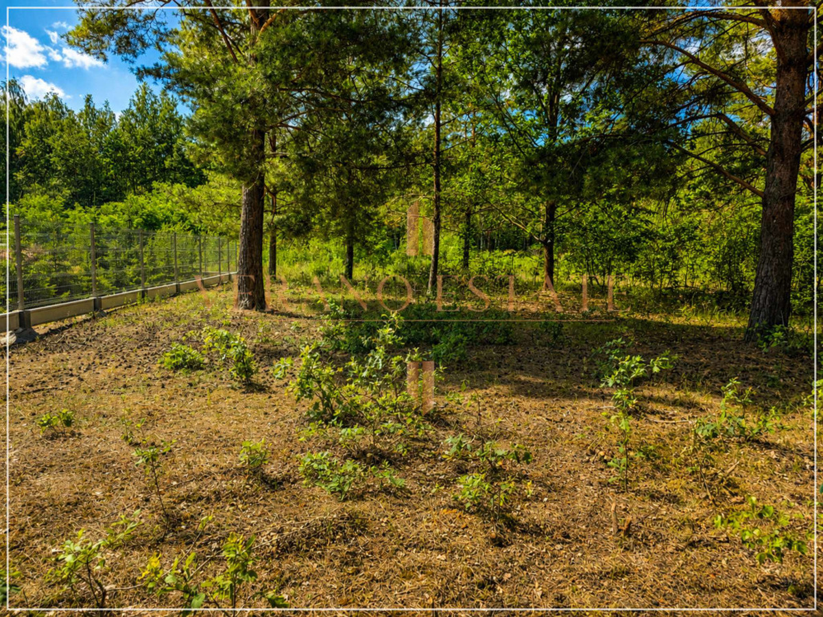 Działka budowlana w otulinie lasu | 1243 m² - Widok 2