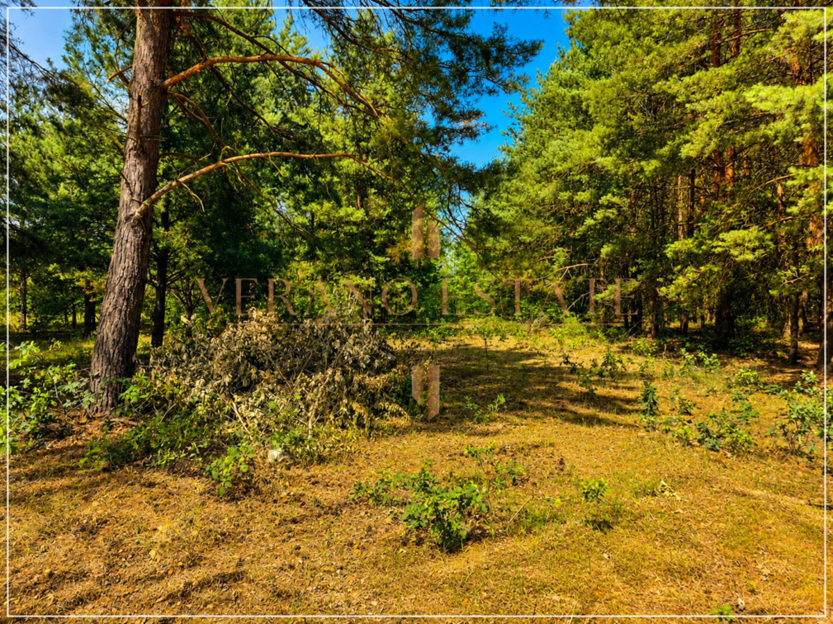 Działka budowlana w otulinie lasu | 1243 m² - Widok 4