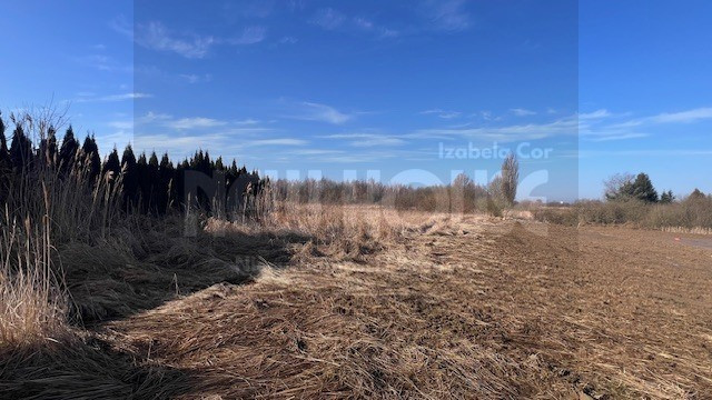 Działka na Mierzynie z planem zagospodarowania - Widok 6