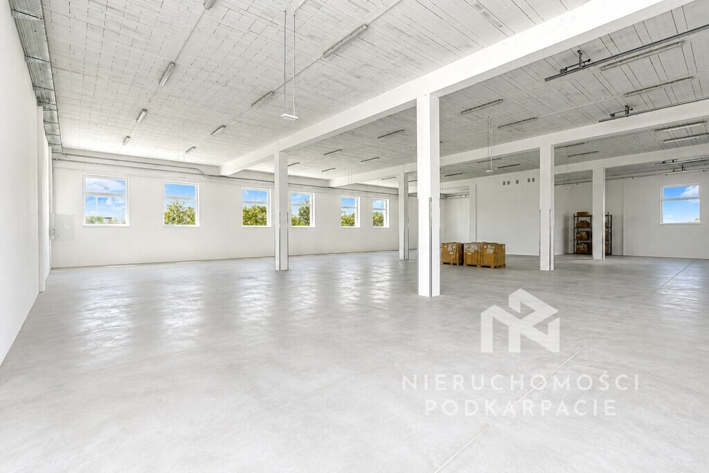 Pow. magazynowo -usługowe - 500,76 m² - Kraczkowa - Widok 4