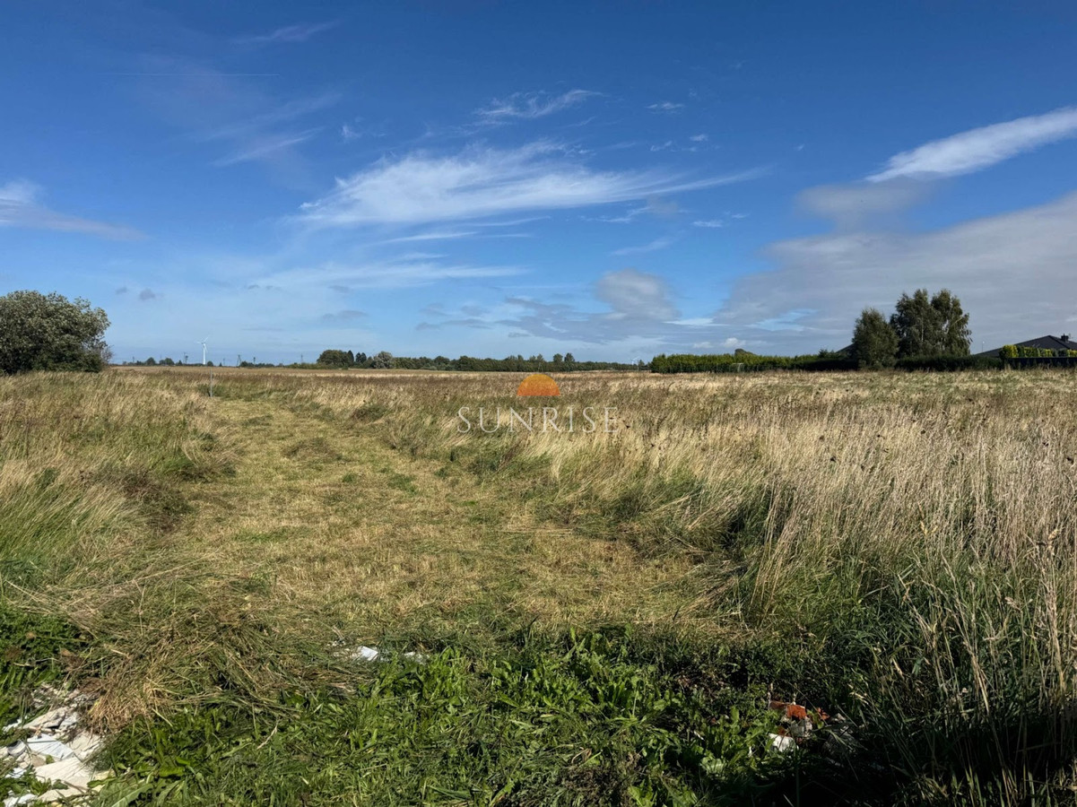 DYGOWO / CZERNIN | 3455 m² | działka budowlana z - Widok 3
