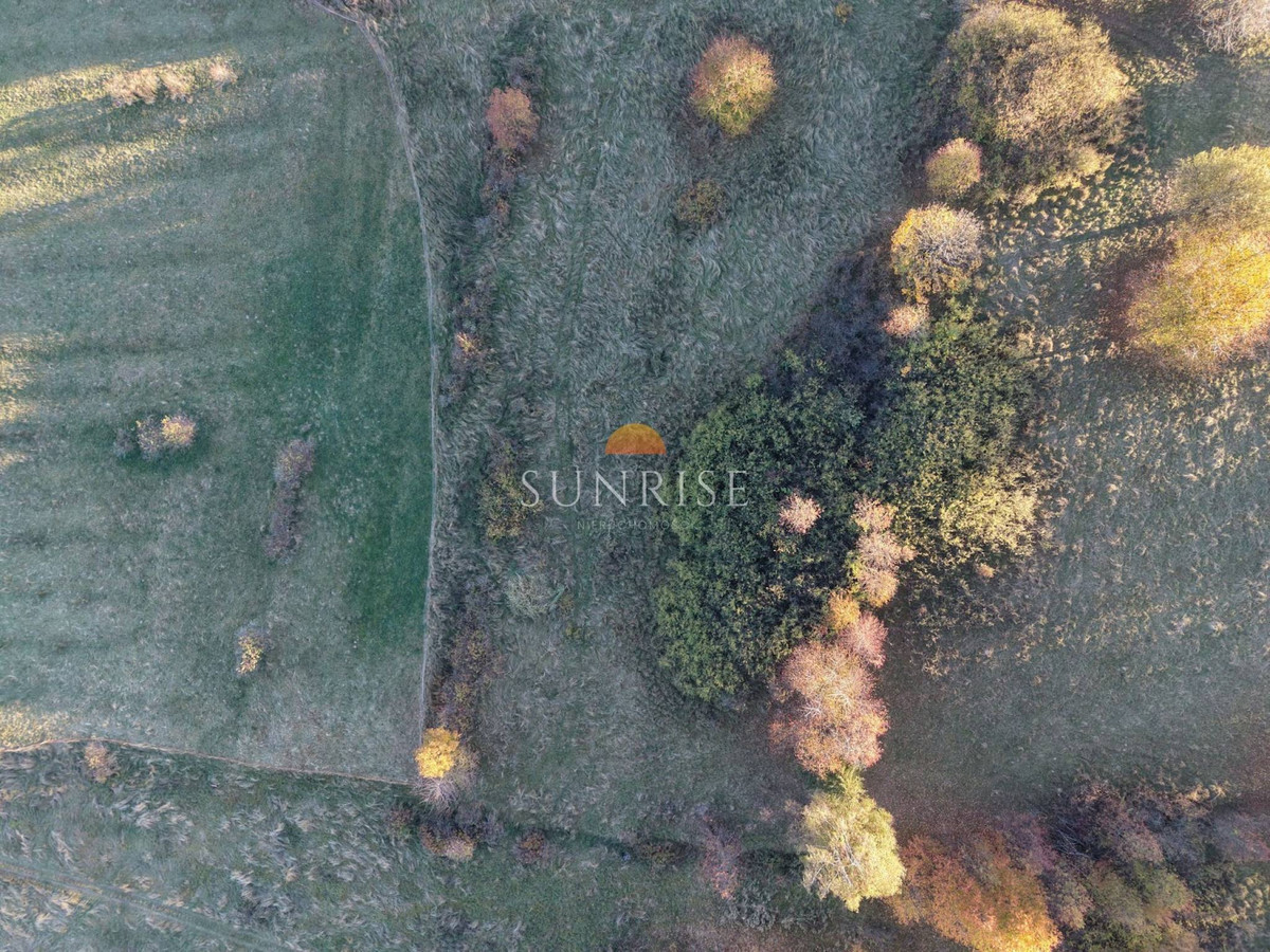 Działka usługowo-turystyczna 1834 m² | Białka - Widok 4